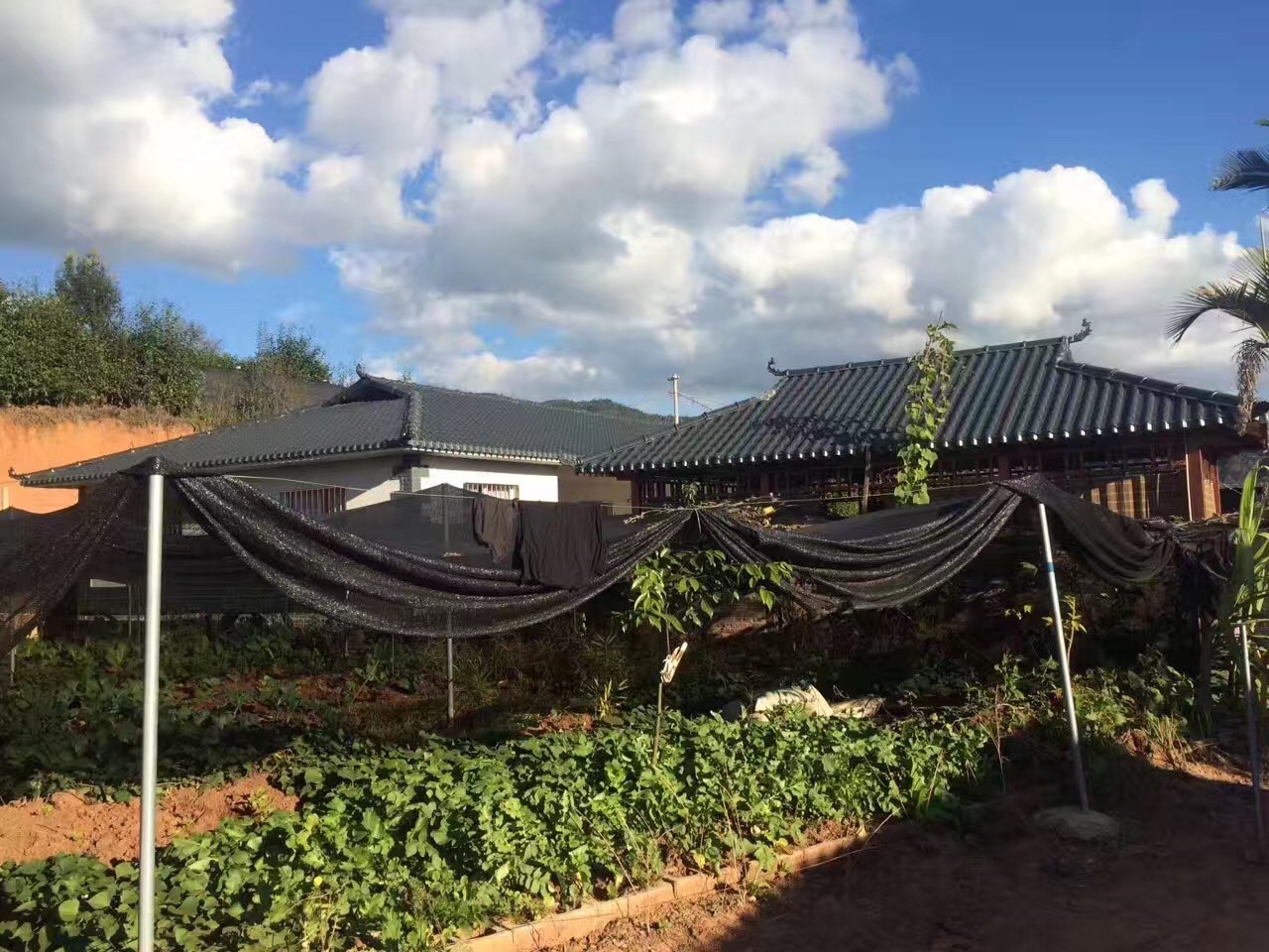 灰底樹脂瓦和白底樹脂瓦的區別有什么？價格差異為什么那么大？