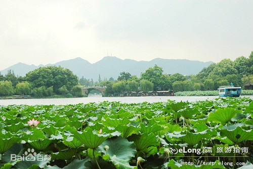 杭州樹脂瓦廠家直銷